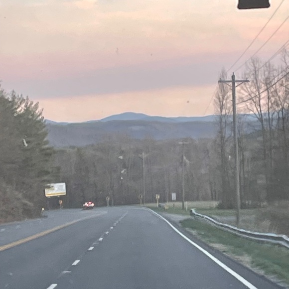 Meet your Posher, Emma - Picture 3 of 4